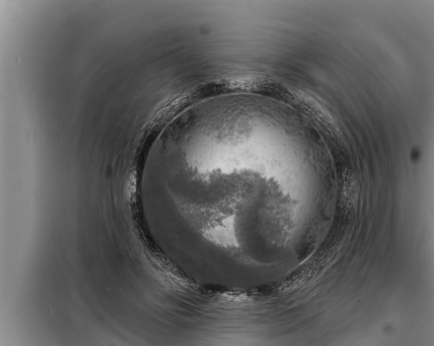 X0000098170502200805011017