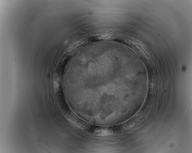 X0000098170503200805011017