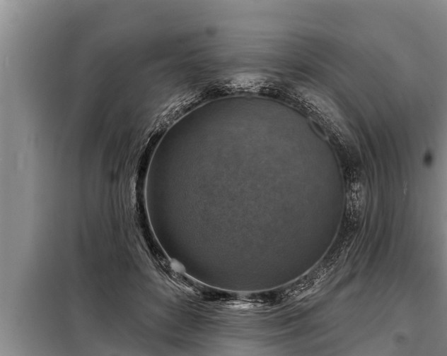 X0000098170504200805011017