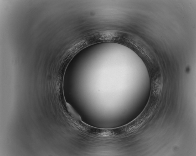 X0000098170505200805011017