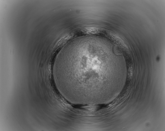 X0000098170506200805011017