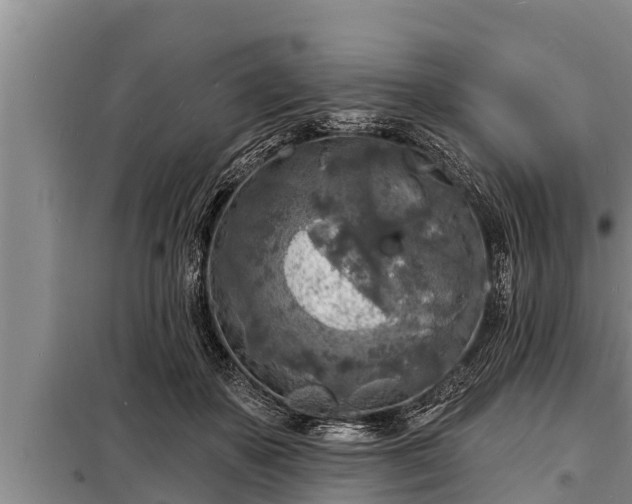 X0000098170507200805011017