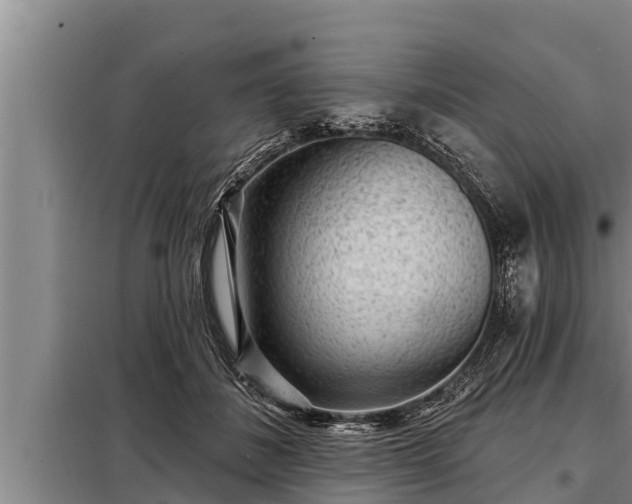 X0000098170508200805011017