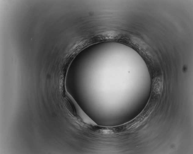 X0000098170509200805011017