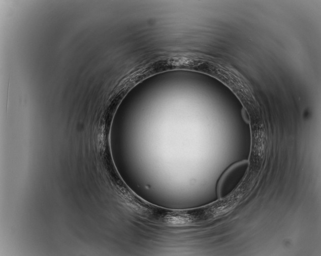 X0000098170510200805011017