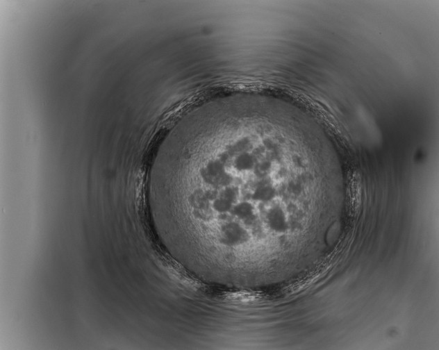 X0000098170511200805011017