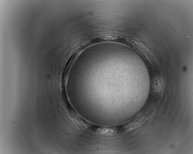 X0000098170512200805011017