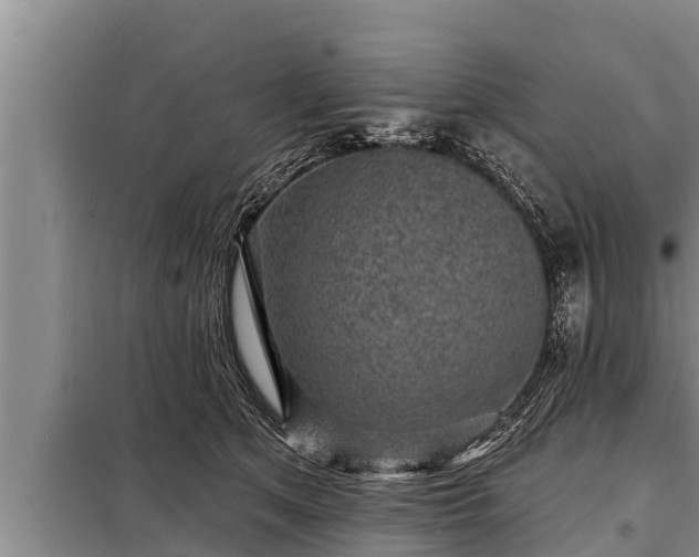 X0000098170513200805011017