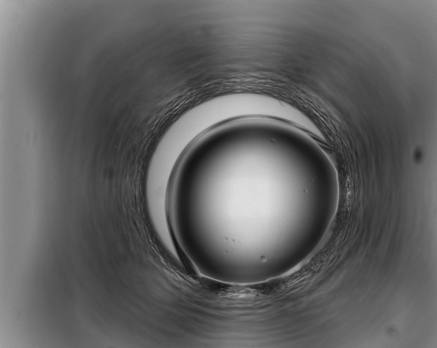 X0000098170514200805011017