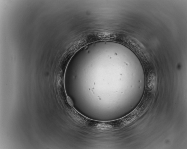 X0000098170515200805011017