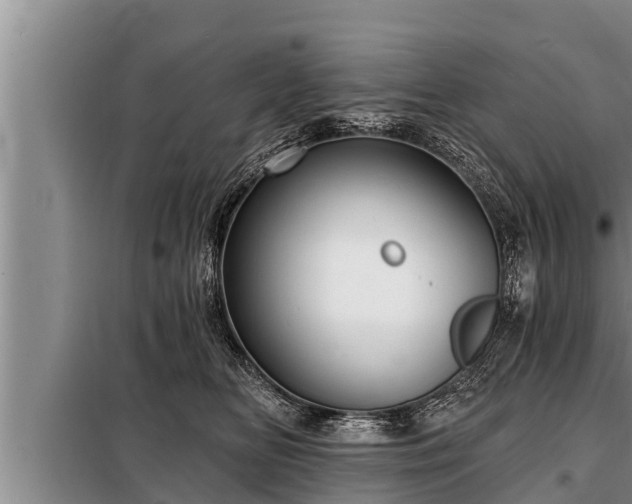 X0000098170518200805011017