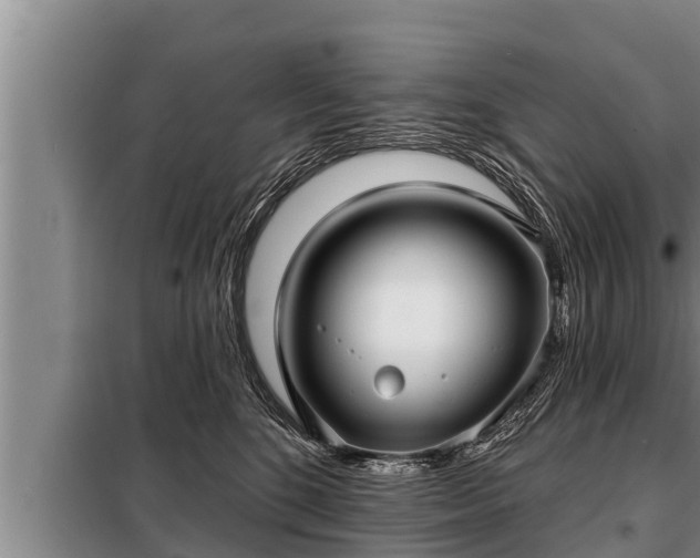 X0000098170520200805011017