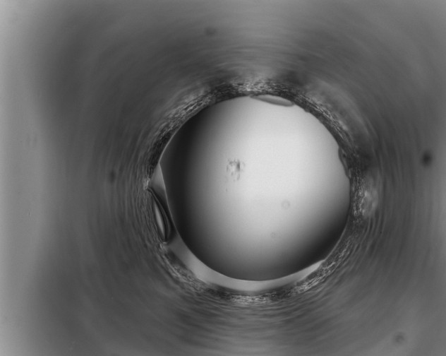 X0000098170521200805011017