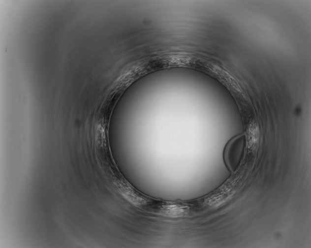 X0000098170522200805011017