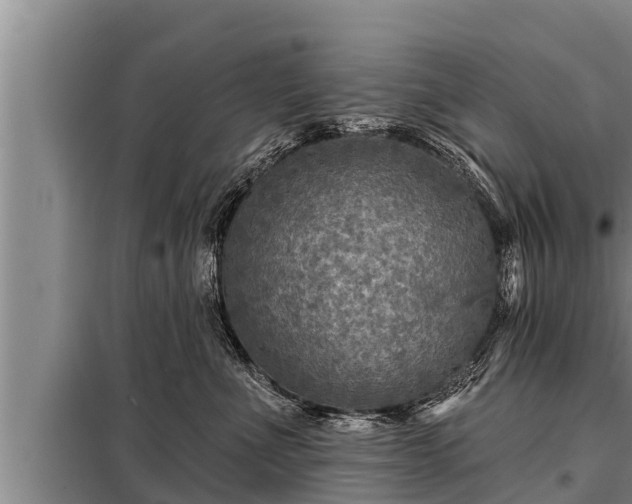 X0000098170523200805011017