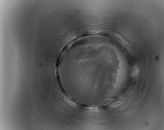 X0000098170524200805011017