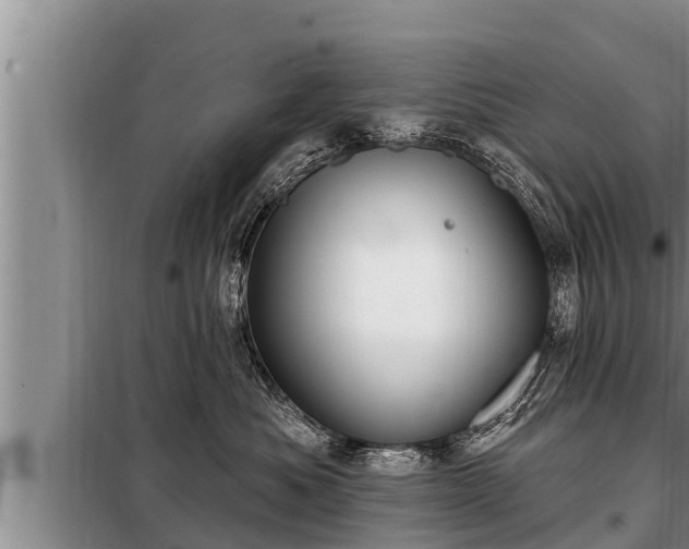 X0000098170525200805011017