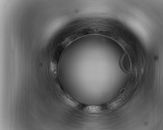 X0000098170526200805011017