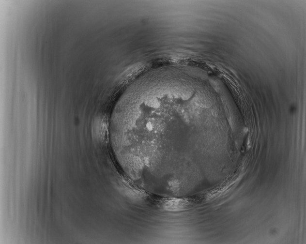 X0000098170527200805011017