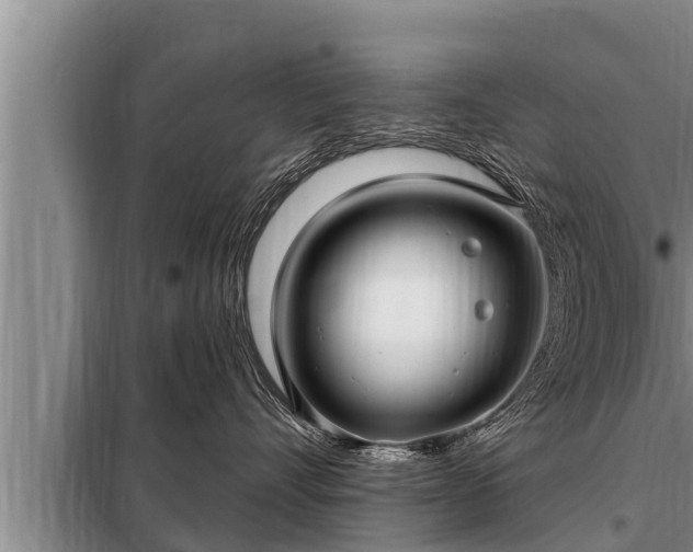 X0000098170528200805011017