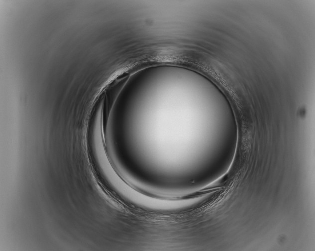 X0000098170530200805011016