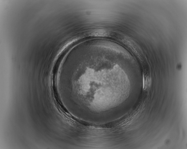 X0000098170531200805011016