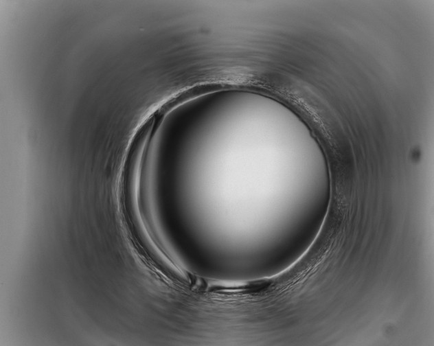 X0000098170532200805011016