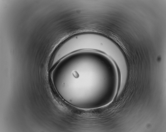 X0000098170534200805011016