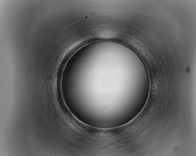 X0000098170535200805011016