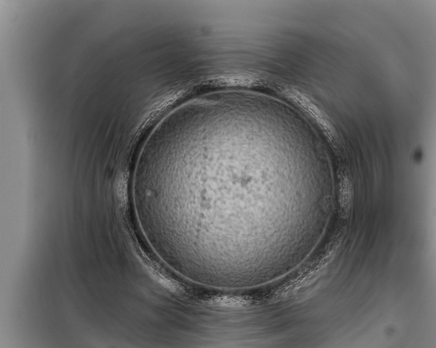 X0000098170537200805011016