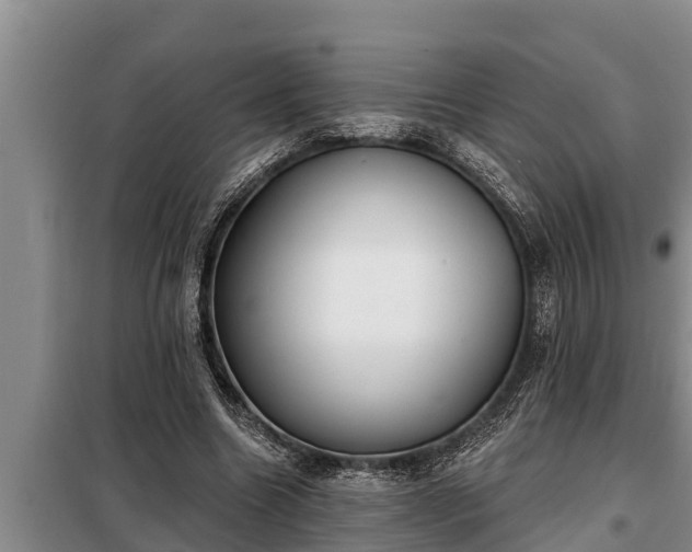 X0000098170538200805011016