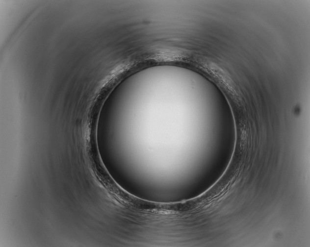 X0000098170539200805011016