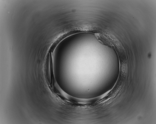 X0000098170540200805011016