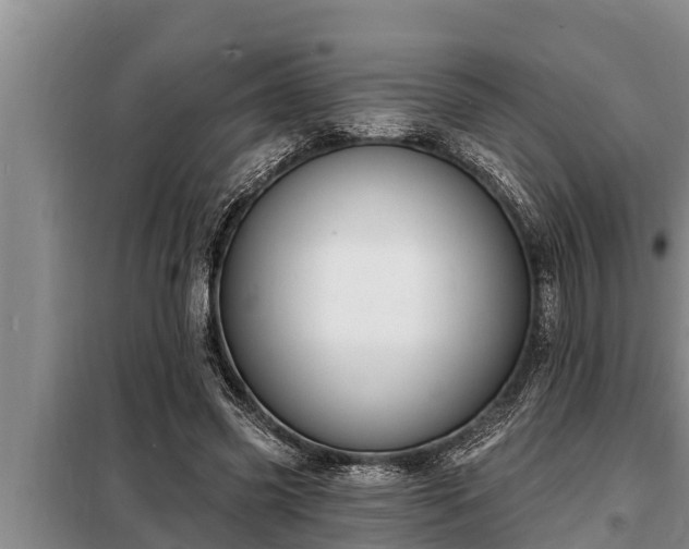 X0000098170541200805011016