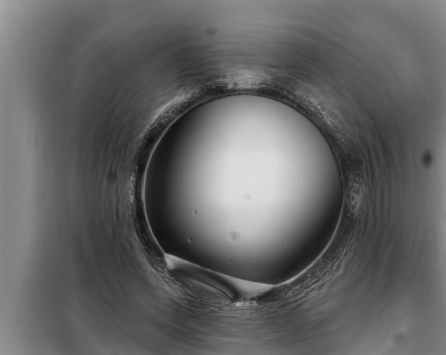 X0000098170543200805011016