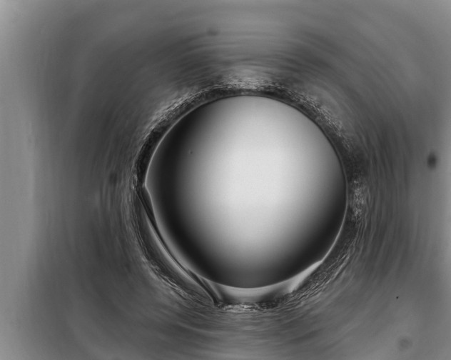 X0000098170544200805011016