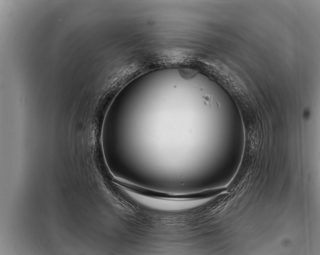 X0000098170546200805011016