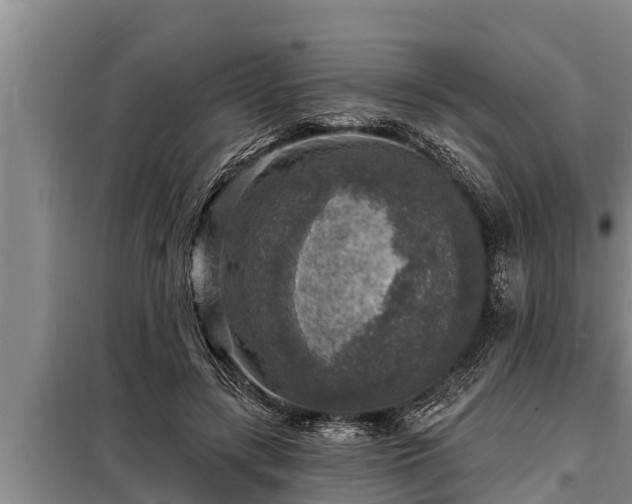 X0000098170547200805011016