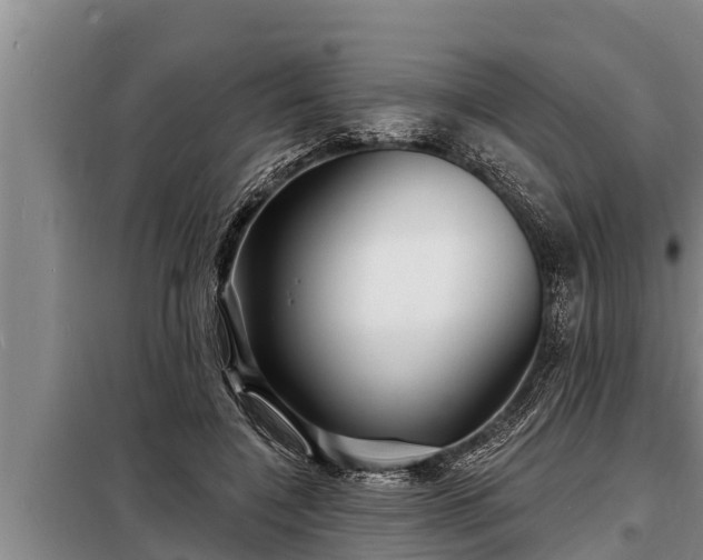 X0000098170548200805011016