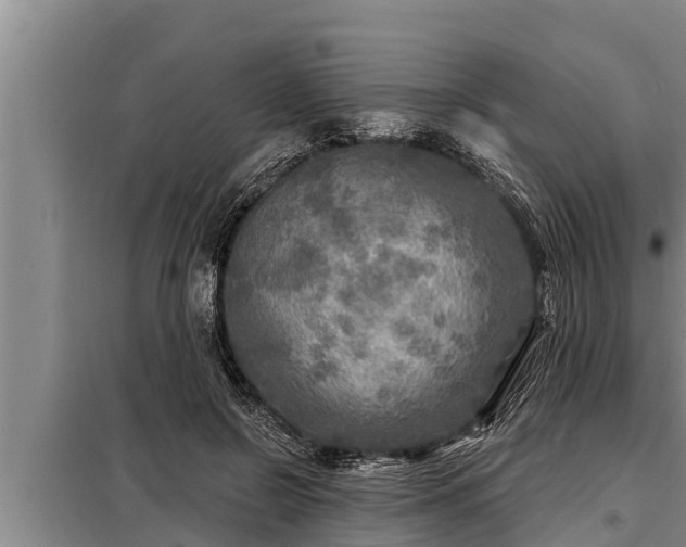 X0000098170550200805011016