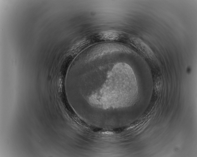 X0000098170551200805011016