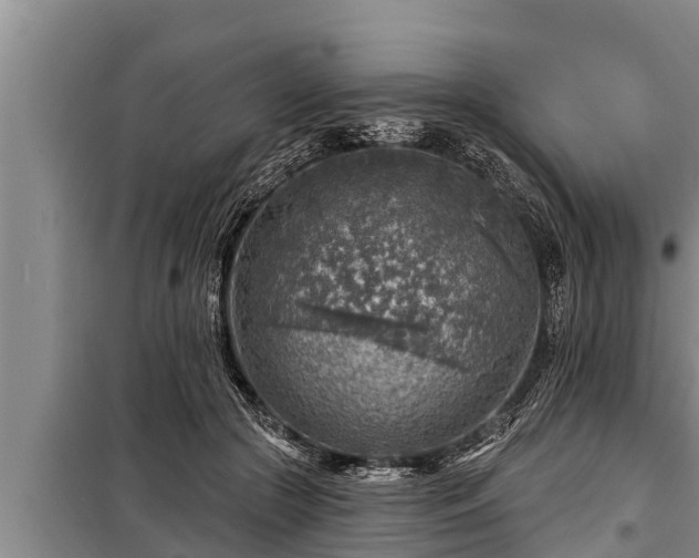 X0000098170553200805011016