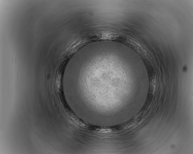 X0000098170554200805011016