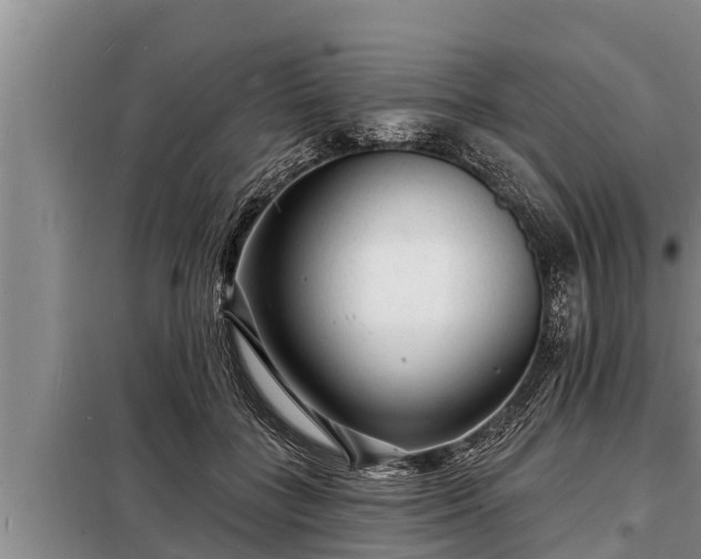 X0000098170555200805011016