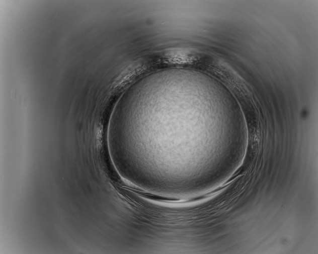 X0000098170556200805011016