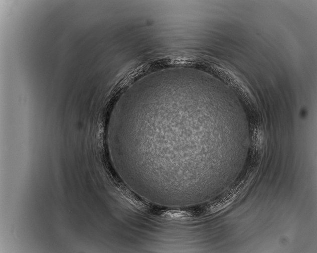 X0000098170557200805011016