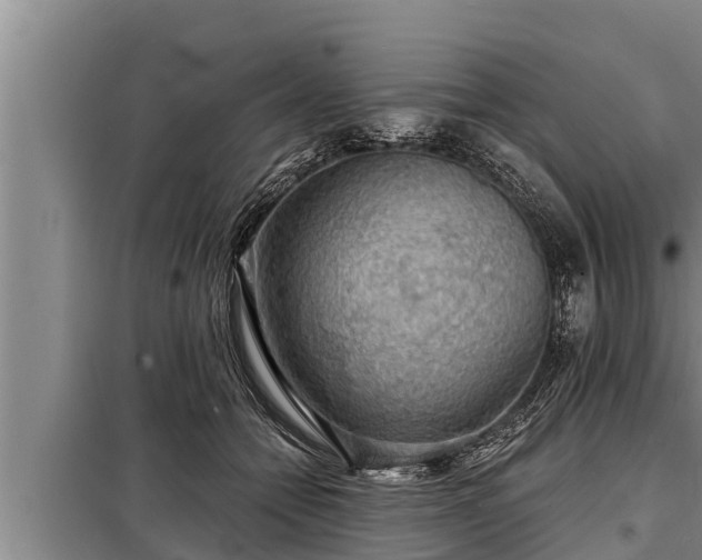 X0000098170558200805011016