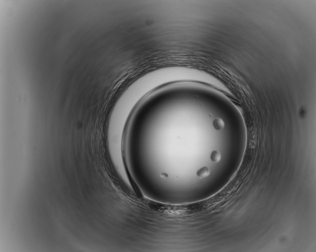 X0000098170560200805011016