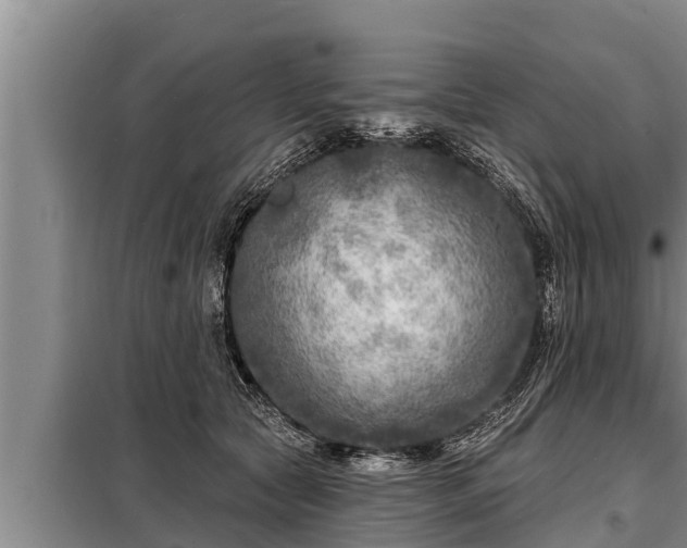 X0000098170561200805011016