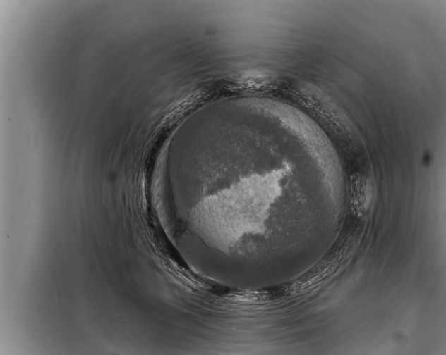 X0000098170563200805011016